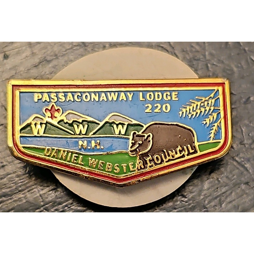 PASSACONAWAY LODGE 220 Order of the Arrow HAT PIN Daniel Webster Council WWW BSA